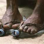 Diane’s bellows-tongue shoes